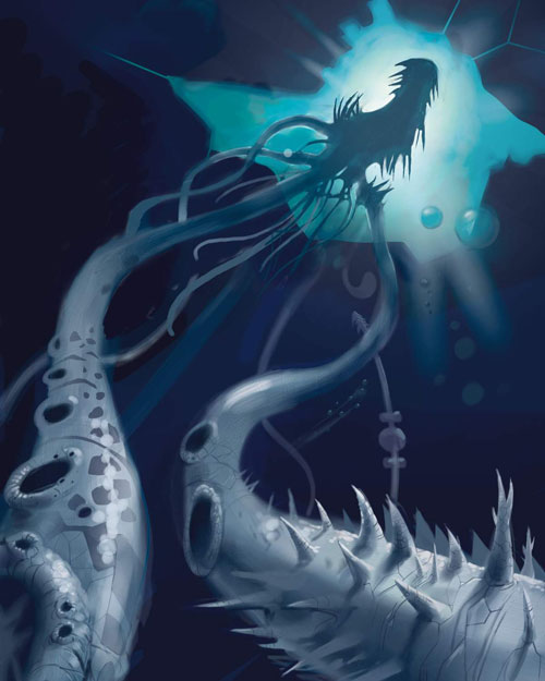 deep sea kraken
